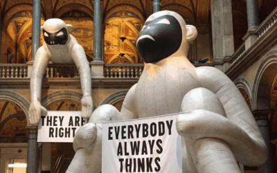 Articolo prova – Secondo Misura