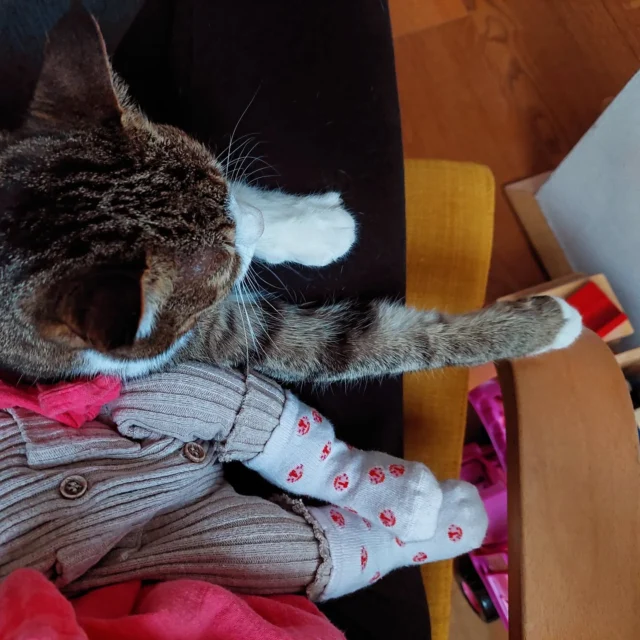 🏡 Una casa è fatta di dettagli: i più piccoli, spesso, sono i più importanti.

👣 i piedini di un nuovo arrivo, le zampette di chi ci accompagna da tempo.

La casa non è solo un luogo: è lo spazio dove crescono legami, dove il nostro benessere trova forma e calore. 
Creiamo spazi che ci somigliano, perché è lì che la vita accade davvero.

Secondo Misura

#secondomisura #benessere #psicologiaarchitettonica #dettagli #architettura